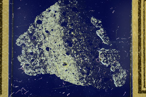 Cross Polarized, ED1202