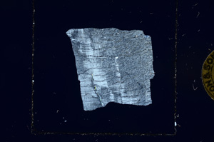 Cross Polarized, ED1208