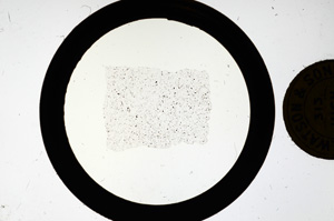 Plane Polarized, ED1219