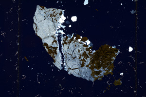 Cross Polarized, ED1220