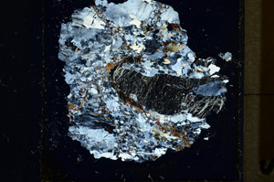 Cross Polarized, ED1233