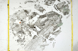 Plane Polarized, ED1244