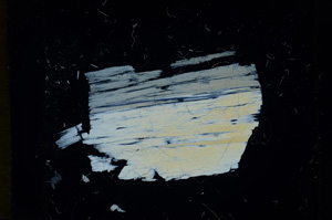 Cross Polarized, ED1245