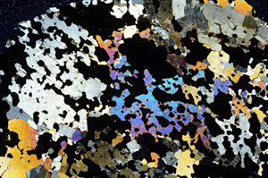 Cross Polarized, ED1254