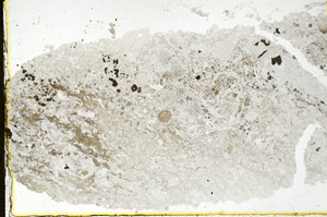 Plane Polarized, ED1280