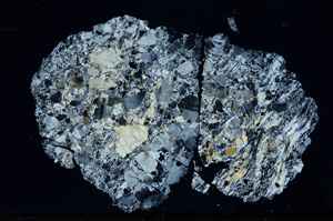 Cross Polarized, ED1291