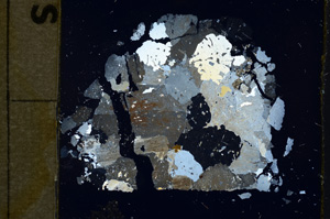 Cross Polarized, ED1302