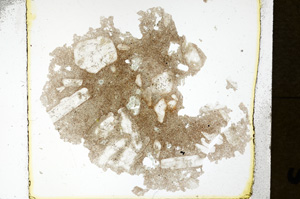 Plane Polarized, ED1326