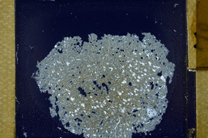 Cross Polarized, ED1350