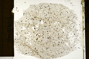 Plane Polarized, ED1351