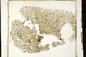 Plane Polarized, ED1352