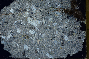 Cross Polarized, ED1353