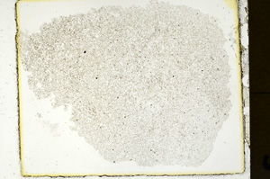 Plane Polarized, ED1363