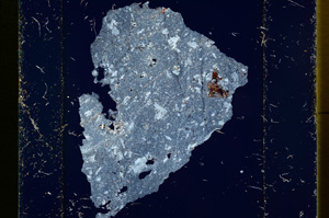 Cross Polarized, ED1367