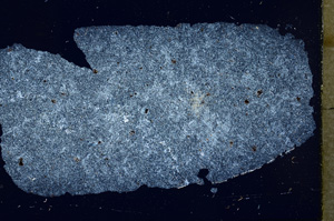 Cross Polarized, ED1384