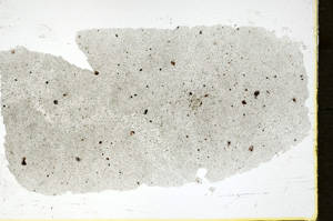 Plane Polarized, ED1384