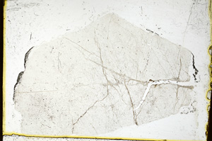 Plane Polarized, ED1396