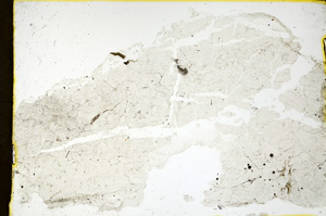 Plane Polarized, ED1397