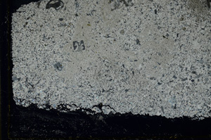 Cross Polarized, ED1422