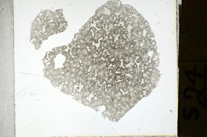 Plane Polarized, ED1431