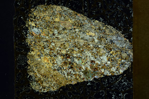 Cross Polarized, ED1442