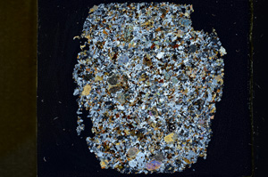 Cross Polarized, ED1447