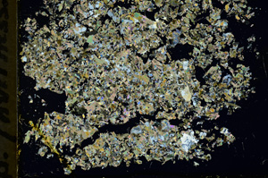 Cross Polarized, ED1468