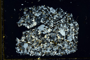 Cross Polarized, ED1473