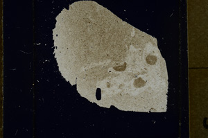 Cross Polarized, ED1483