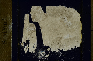 Cross Polarized, ED1488