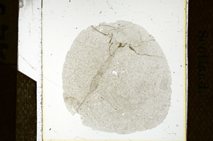 Plane Polarized, ED1490