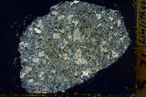 Cross Polarized, ED1494