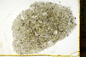 Plane Polarized, ED1494