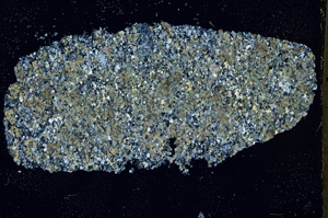 Cross Polarized, ED1499