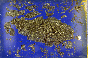 Cross Polarized, ED1507