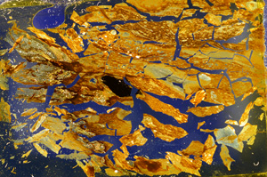 Cross Polarized, ED1522