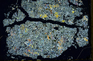 Cross Polarized, ED1535