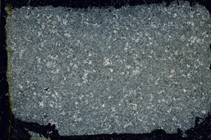Cross Polarized, ED1554