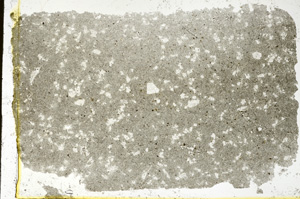 Plane Polarized, ED1554