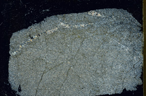 Cross Polarized, ED1556