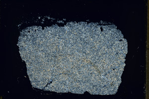 Cross Polarized, ED1557