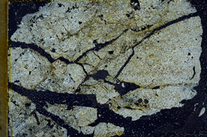 Cross Polarized, ED1559