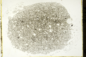 Plane Polarized, ED1565
