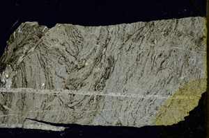 Cross Polarized, ED1567