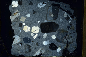 Cross Polarized, ED1570