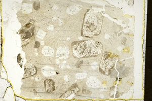 Plane Polarized, ED1570