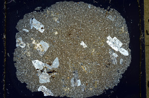 Cross Polarized, ED1587