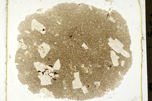 Plane Polarized, ED1587