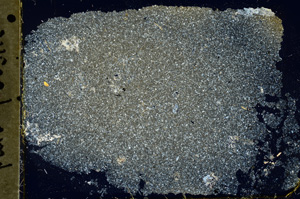 Cross Polarized, ED1588