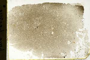 Plane Polarized, ED1588